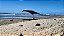 CATEN ECO 2 - TENDA DE PRAIA - 250X210CM - Imagem 5