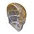 Comedouro Meia Lua Translucido com Tampa - InjetFour - Diversas cores - Imagem 2