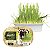Graminha Ipet Green Digestive Grass para Cães 50g - Imagem 3