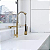 TORNEIRA COZINHA GOURMET MISTURADOR MONOCOMANDO SPRAY VIP DOURADA GOLD - Imagem 11