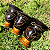 Cuia Desenhada Guampa Apoio Porongo Preto Para Chimarrão Nosso Tereré - Imagem 2
