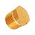 Tampão (Bujão) Rosca 1/4" Npt - Imagem 1
