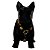 Kit Peitoral Modelo H e Guia para Cães e Gatos - Estampa Comics - Madiba Pet - Imagem 2