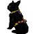 Kit Peitoral Modelo H e Guia para Cães e Gatos - Estampa Comics - Madiba Pet - Imagem 1