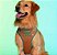 Peitoral Colete Scooby Doo para Cães e Gatos - Imagem 1