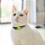 Kit de 10 Coleiras AntI-Enforcamento para Gatos - Diversas Cores - Imagem 6