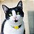 Kit de 10 Coleiras AntI-Enforcamento para Gatos - Diversas Cores - Imagem 7