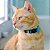 Kit de 10 Coleiras AntI-Enforcamento para Gatos - Diversas Cores - Imagem 8