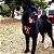 Coleira Peitoral com Guia para Cachorros Neoprene Samakaka Vermelha - Imagem 5