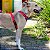 Coleira Peitoral com Guia para Cachorros Neoprene Samakaka Rosa - Imagem 3