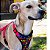 Coleira Peitoral com Guia para Cachorros Neoprene Samakaka Rosa - Imagem 2