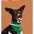 Bandana Goiás Esporte Clube para Cães e Gatos - Imagem 4