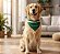 Bandana Goiás Esporte Clube para Cães e Gatos - Imagem 4