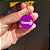 Placa de identificação Personalizada para Coleira - Madiba Pet - Imagem 2