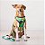 Kit Peitoral Tecido Fresh e Guia de Passeio Tropical para Cães e Gatos - Madiba Pet - Imagem 2