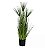 Planta  Artificial Grass Papiro Verde 75cm - Imagem 1