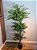 Planta Artificial Ficus Real Toque Verde 1,8m - Imagem 3