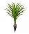 Planta Árvore Dracena Garrafa Real Toque Verde Creme 1,2m - Imagem 1