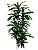 Planta Árvore Artificial Dracena Frangans Verde 1,7m - Imagem 1