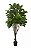 Planta Árvore Artificial Ficus Elástica Real Toque Verde 1,8m - Imagem 1