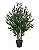 Planta Árvore Artificial Oliveira Verde 95cm - Imagem 1