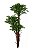 Planta Árvore Artificial Rucos Verde 1,9m - Imagem 1