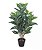 Planta Árvore Artificial Afelandra Real Toque Verde Creme 85cm - Imagem 1