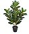 Planta Árvore Artificial Ficus Elástica Real Toque Verde Amarelo 85cm - Imagem 1