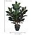 Planta Árvore Artificial Ficus Elástica Real Toque Verde Púrpura 85cm - Imagem 2