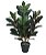 Planta Árvore Artificial Ficus Elástica Real Toque Verde Púrpura 85cm - Imagem 1