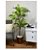 Planta Árvore Artificial Dracena Real Toque Verde 1,45m - Imagem 4