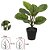 Planta Árvore Artificial Calathea Real Toque Verde Creme 30cm - Imagem 2