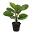 Planta Árvore Artificial Calathea Real Toque Verde Creme 30cm - Imagem 1