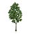 Planta Árvore Artificial Clúsia Verde Real Toque 1,50m - Imagem 1