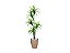 Planta Artificial Para Sala Árvore Yucca 1,60m Kit + Vaso E. Bege 32cm - Imagem 1