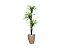 Planta Artificial Árvore Yucca 1,50m 3 Folhas Kit + Vaso E. Bege 32cm - Imagem 1