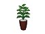 Planta Árvore Artificial Costela-de-Adão Real Toque Verde 60cm Kit + Vaso E. Marrom 32cm - Imagem 1