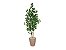 Planta Árvore Artificial Bambu Real Toque 1,6m Kit + Vaso E. Bege 32cm - Imagem 1