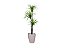 Planta Artificial Árvore Yucca 1,50m 3 Folhas Kit + Vaso S. Bege 30cm - Imagem 1