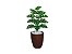Planta Árvore Artificial Costela-de-Adão Real Toque Verde 60cm Kit + Vaso S. Marrom 30cm - Imagem 1