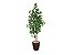 Planta Árvore Artificial Bambu Real Toque 1,6m Kit + Vaso S. Marrom 30cm - Imagem 1