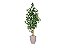 Planta Árvore Artificial Bambu Real Toque 1,6m Kit + Vaso S. Bege 30cm - Imagem 1