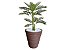 Planta Artificial Árvore Palmeira Areca 1,1m kit + Vaso Redondo D. Grafiato Marrom 40cm - Imagem 1