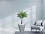 Planta Artificial Árvore Palmeira Real Toque 1,2m kit + Vaso Redondo D. Grafiato Cinza 40cm - Imagem 2