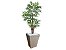 Planta Artificial Árvore Palmeira Phoenix 1,77m kit + Vaso Trapezio D. Grafiato Bege 40cm - Imagem 1
