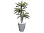 Planta Artificial Árvore Palmeira Cycas 1,77m kit + Vaso Redondo D. Grafiato Cinza 40cm - Imagem 1