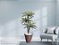Planta Artificial Árvore Palmeira Cycas 1,77m kit + Vaso Redondo D. Grafiato Marrom 40cm - Imagem 2