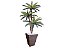 Planta Artificial Árvore Palmeira Cycas 1,77m kit + Vaso Trapézio D. Grafiato Marrom 40cm - Imagem 1