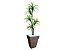 Planta Artificial Árvore Yucca 1,60m Kit + Vaso Trapézio D. Grafiato Marrom 40cm - Imagem 1