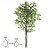Planta Árvore Artificial Ficus Verde Creme 1,50m - Imagem 1